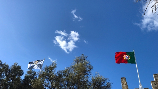 ポルトガル海外研修